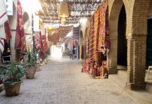 اكتشف الجنوب التونسي.. رحلة مثيرة في الصحراء والنكهات والذاكرة اكتشف الجنوب التونسي.. رحلة مثيرة في الصحراء والنكهات والذاكرة