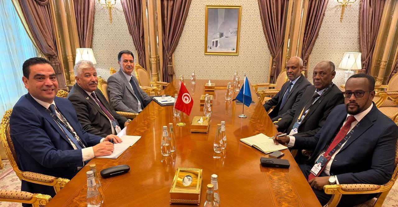 تونس تبحث تعزيز التعاون مع الصومال وفلسطين في مجالات التشغيل تونس تبحث تعزيز التعاون مع الصومال وفلسطين في مجالات التشغيل