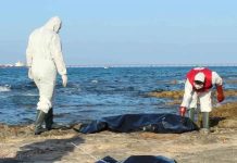 انتشال جثة بحار ثان قبالة جزيرة قوريا بالمنستير انتشال جثة بحار ثان قبالة جزيرة قوريا بالمنستير