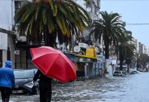 تحذير جوي في تونس من رياح قوية وأمطار رعدية تحذير جوي في تونس من رياح قوية وأمطار رعدية