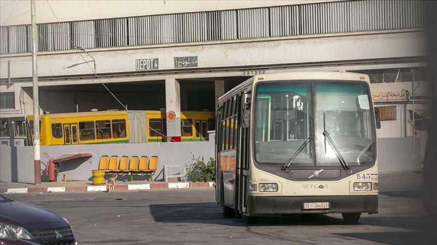 نائب تونسي: أزمة النقل العمومي واقع تسعى الدولة لمعالجته نائب تونسي: أزمة النقل العمومي واقع تسعى الدولة لمعالجته