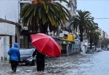 تونس تعلن درجة الإنذار القصوى بـ20 ولاية جراء التقلبات الجوية تونس تعلن درجة الإنذار القصوى بـ20 ولاية جراء التقلبات الجوية