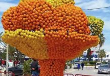 مهرجان “القوارص”.. احتفاء بالهوية الفلاحية ودعم للمنتوج المحلي مهرجان "القوارص".. احتفاء بالهوية الفلاحية ودعم للمنتوج المحلي