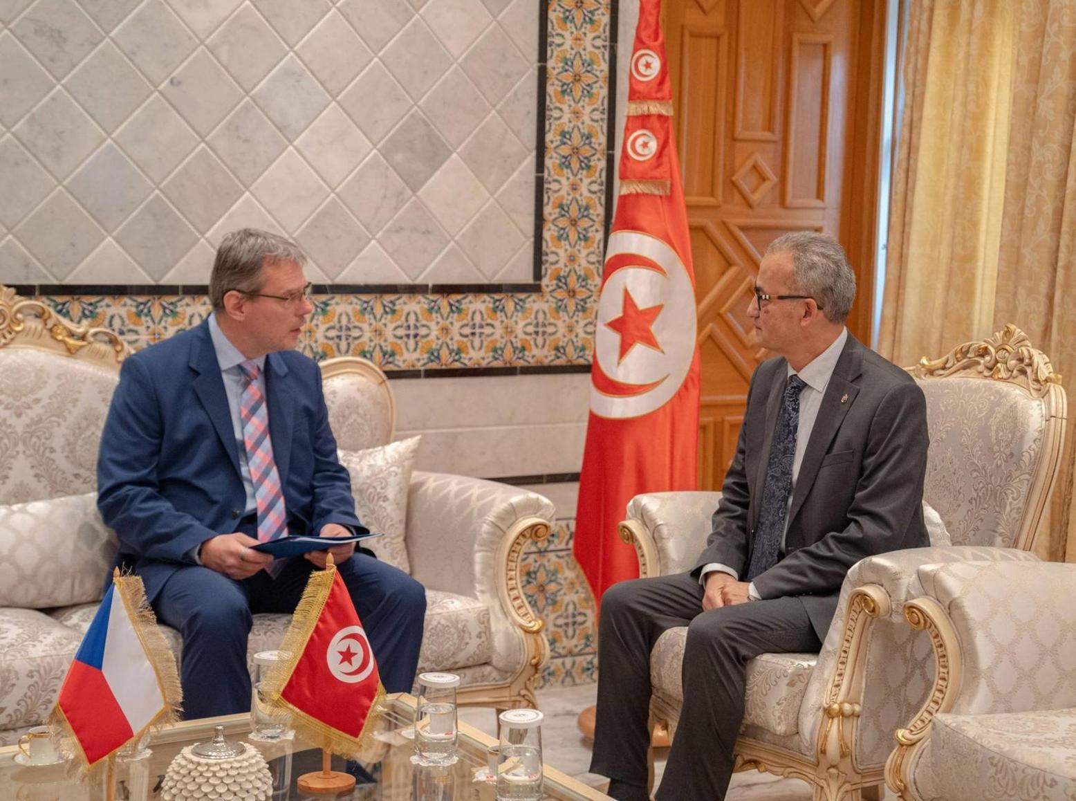 كاتب الدولة لدى وزير الخارجية يلتقي السفير التشيكي لدى تونس كاتب الدولة لدى وزير الخارجية يلتقي السفير التشيكي لدى تونس