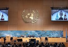 تونس تجدد الالتزام بمواصلة التعاون مع مجلس الأمم المتحدة لحقوق الانسان تونس تجدد الالتزام بمواصلة التعاون مع مجلس الأمم المتحدة لحقوق الانسان