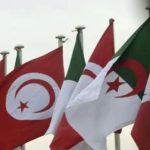 الجزائر وتونس.. هدف لحرب افتراضية الجزائر وتونس.. هدف لحرب افتراضية