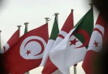 الجزائر وتونس.. هدف لحرب افتراضية الجزائر وتونس.. هدف لحرب افتراضية