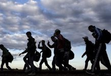 مقترح مبادرة لإطلاق بطاقة التسجيل المؤقت لتسهيل العودة الطوعية مقترح مبادرة لإطلاق بطاقة التسجيل المؤقت لتسهيل العودة الطوعية