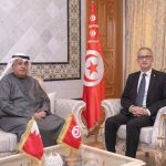 تونس تؤكد رفضها انتهاك استقرار الدول العربية تونس تؤكد رفضها انتهاك استقرار الدول العربية