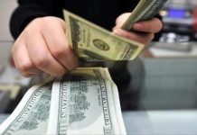 تحويلات التونسيين بالخارج تبلغ 500 مليون دولار الشهرين الماضيين تحويلات التونسيين بالخارج تبلغ 500 مليون دولار الشهرين الماضيين