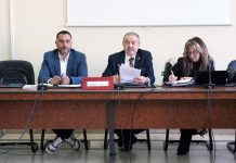 قطاع زيت الزيتون قادر على أن يصبح رافعة للنمو الاقتصادي قطاع زيت الزيتون قادر على أن يصبح رافعة للنمو الاقتصادي