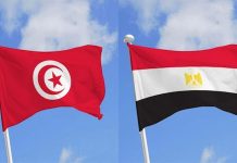 تونس ومصر تبحثان دعم تعاونهما العسكري تونس ومصر تبحثان دعم تعاونهما العسكري