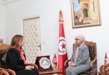 اجتماع وزيرة الأسرة بنائبة رئيسة كوميسا للنساء اجتماع وزيرة الأسرة بنائبة رئيسة كوميسا للنساء