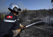 حركة النهضة تدعو لمساعدة الجزائر للسيطرة على الحرائق حركة النهضة تدعو لمساعدة الجزائر للسيطرة على الحرائق