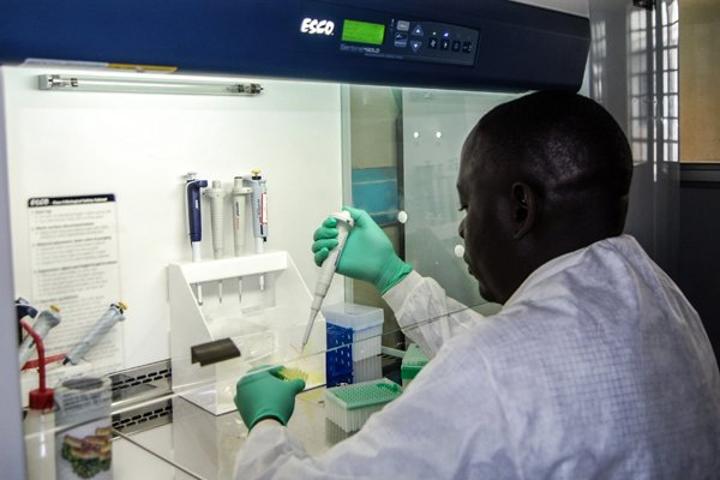 Mosquitoes resistant to chemicals found in north Mosquitoes resistant to chemicals found in north