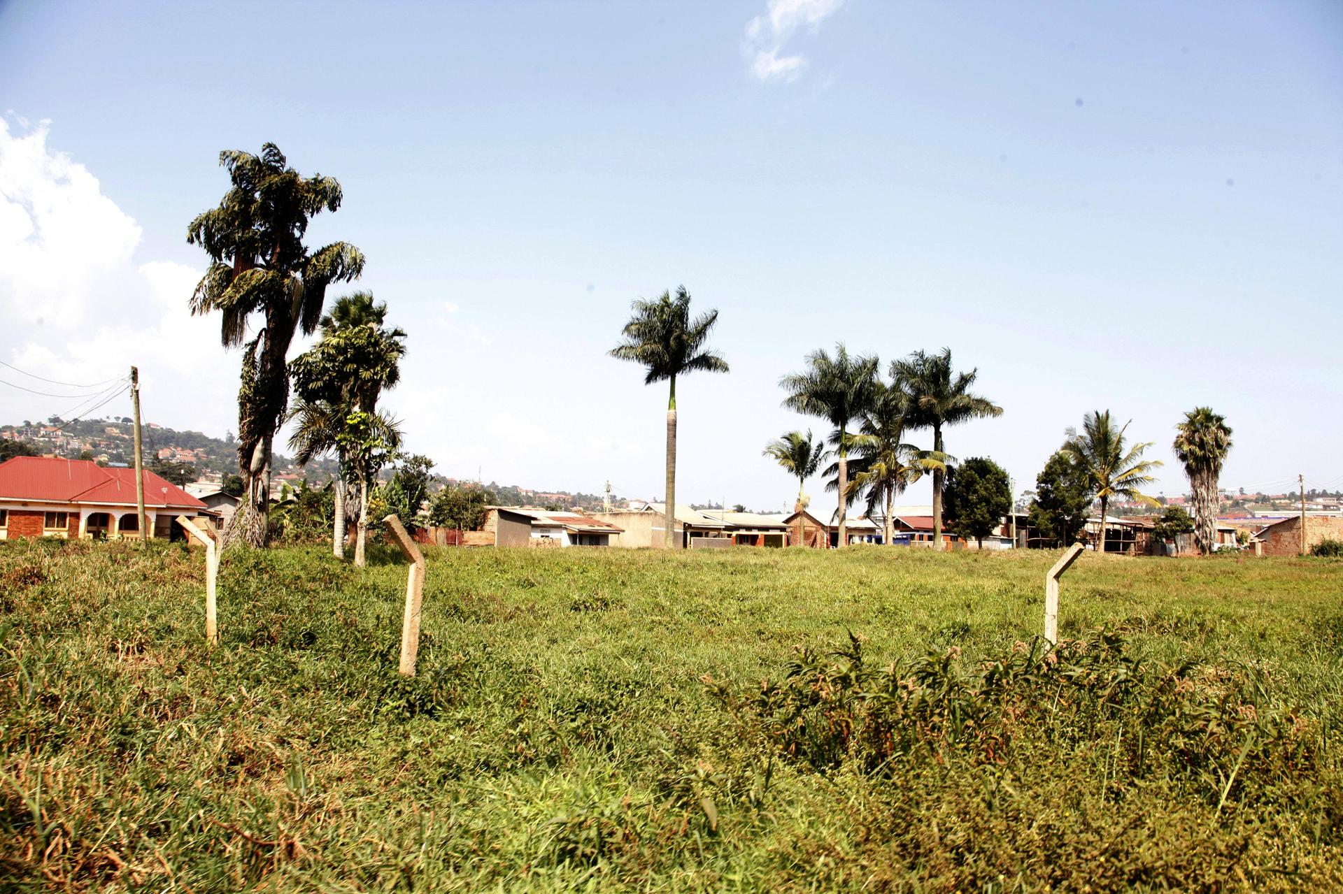 Reality of land leases Reality of land leases
