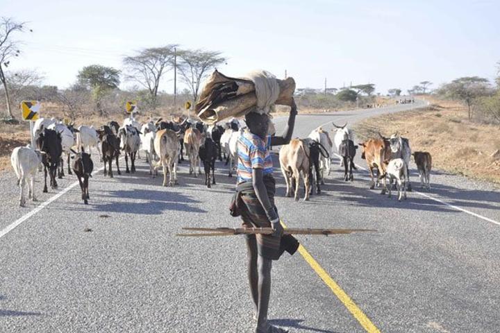 Kaabong pastoralists flee to S.Sudan over attacks by armed groups Kaabong pastoralists flee to S.Sudan over attacks by armed groups