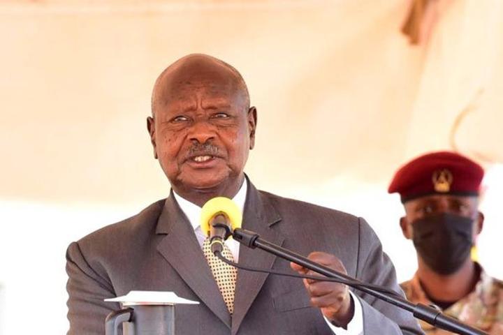 Museveni intervenes in Covidex ownership row Museveni intervenes in Covidex ownership row
