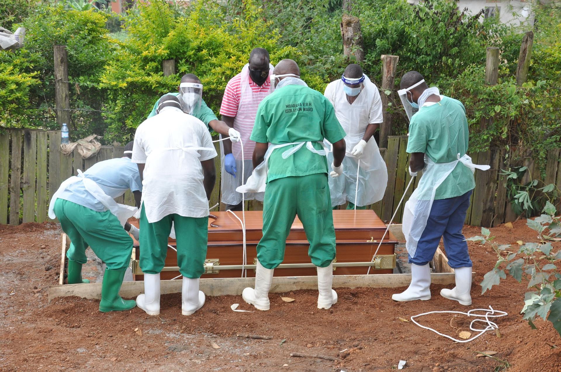 MPs blame medics, patients’ deaths on drugs, PPE deficits MPs blame medics, patients’ deaths on drugs, PPE deficits