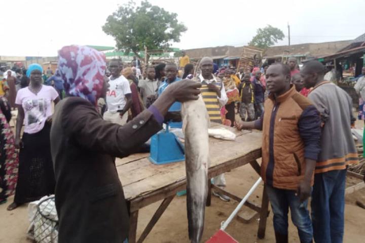Fish traders oppose plan to shift to new market Fish traders oppose plan to shift to new market