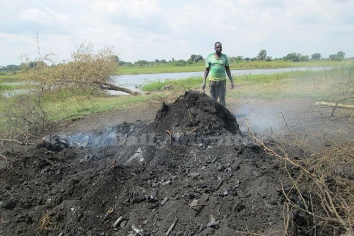 Ngora leaders struggle to stop locals from depleting wetlands Ngora leaders struggle to stop locals from depleting wetlands
