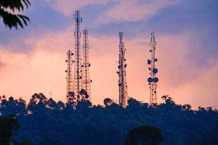 Uganda’s mobile phone towers blend right in with the greenery Uganda’s mobile phone towers blend right in with the greenery