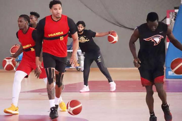 Silverbacks locked in despite financial woes Silverbacks locked in despite financial woes