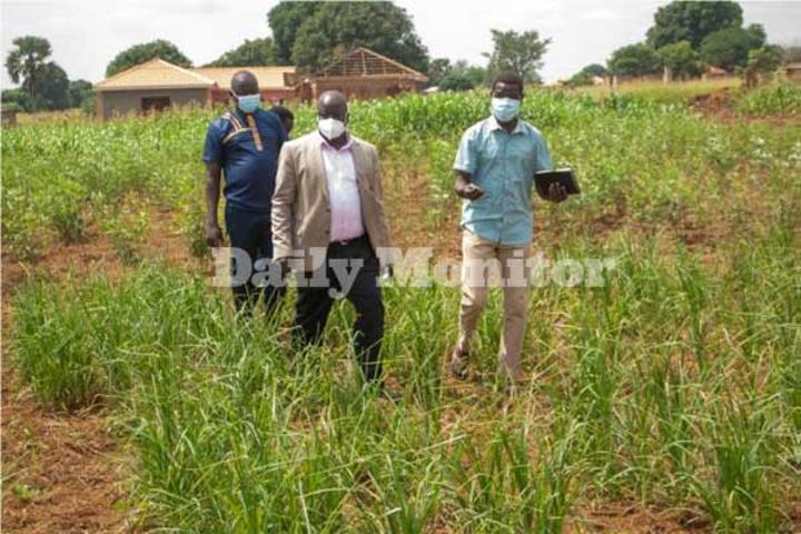 Naro research work destroyed in land row Naro research work destroyed in land row