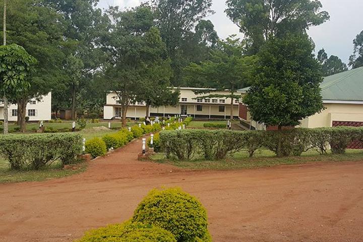 Renovation of Bukalasa Agriculture College takes shape Renovation of Bukalasa Agriculture College takes shape