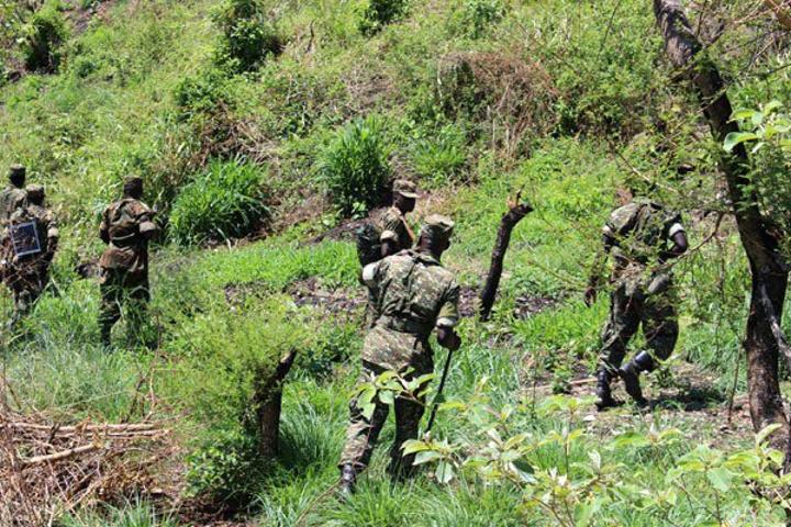 Ex-ADF rebels warned on collaborating with group Ex-ADF rebels warned on collaborating with group