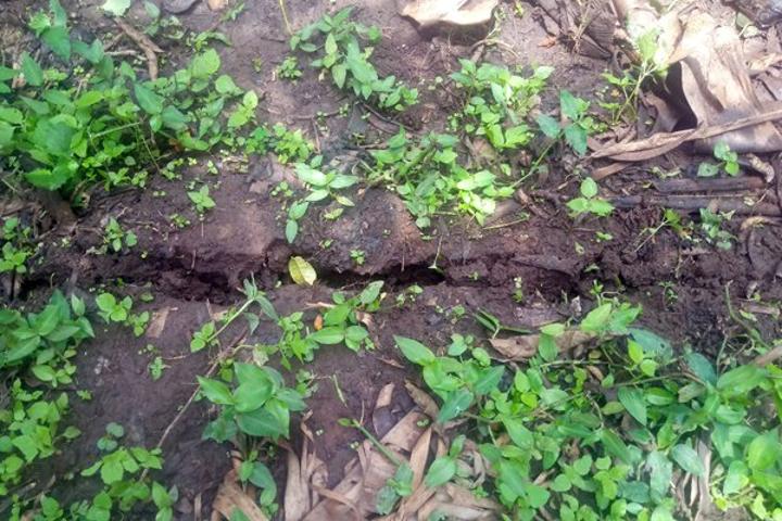 Fear of landslides as fresh cracks emerge in Sironko Fear of landslides as fresh cracks emerge in Sironko