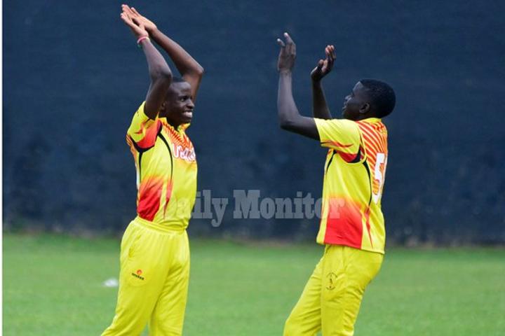 Baby Cricket Cranes start push for World Cup Baby Cricket Cranes start push for World Cup