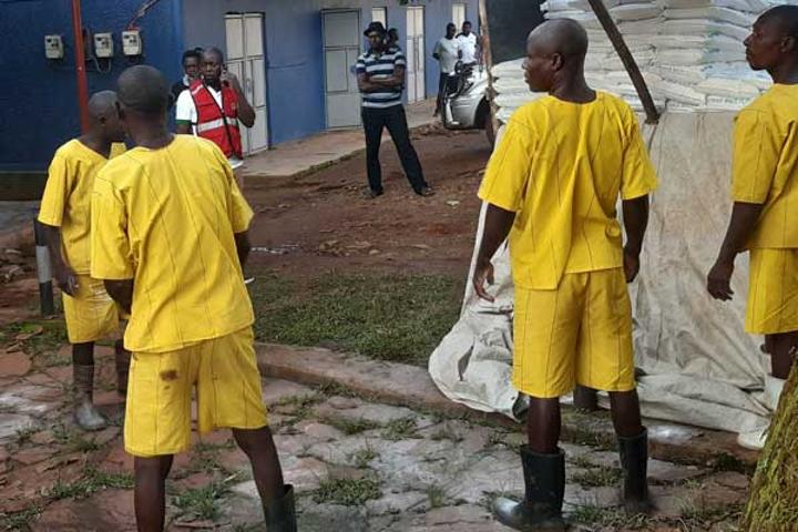 The view that court often grants bail is misleading The view that court often grants bail is misleading