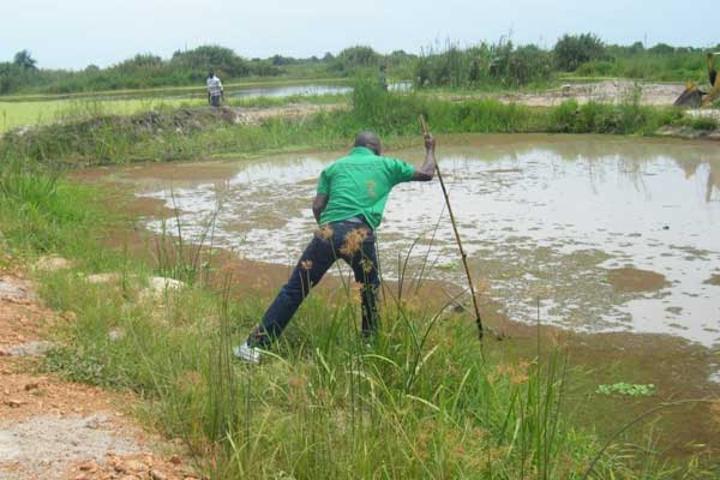 Lake Nabugabo loses its beauty as leaders watch Lake Nabugabo loses its beauty as leaders watch