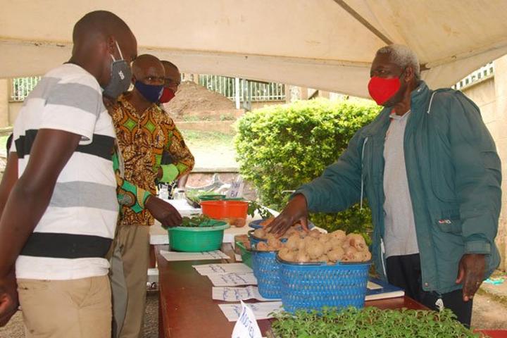 Naro asks farmers to embrace new technologies Naro asks farmers to embrace new technologies