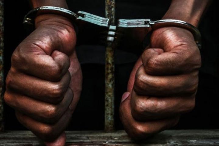 Environment watchdogs condemn arrest of Ugandan activists Environment watchdogs condemn arrest of Ugandan activists