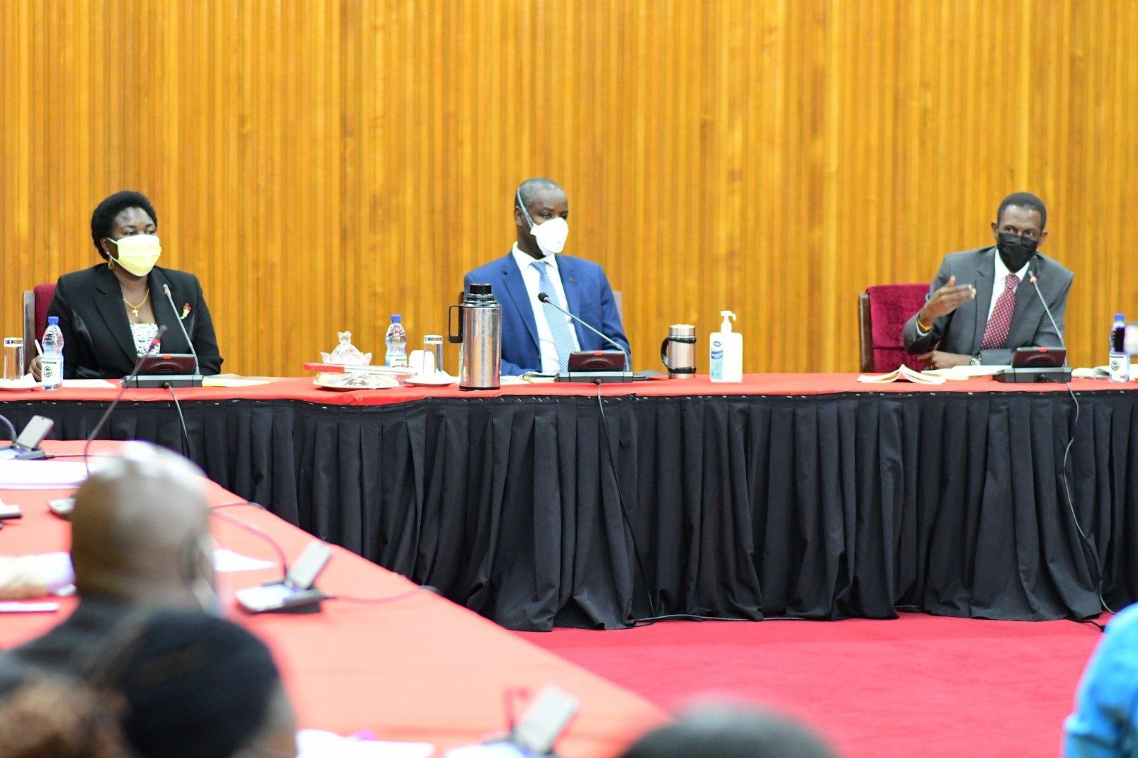 We shall not force our MPs to support bail reforms - Govt We shall not force our MPs to support bail reforms - Govt