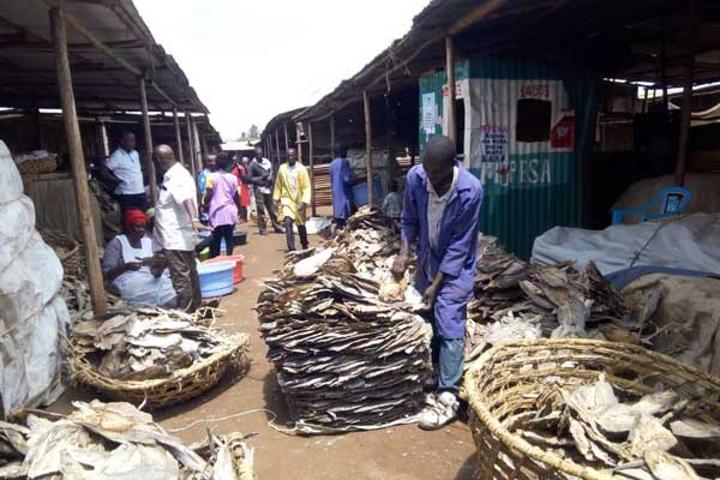 Kenya fish traders stuck amid row with Uganda Kenya fish traders stuck amid row with Uganda