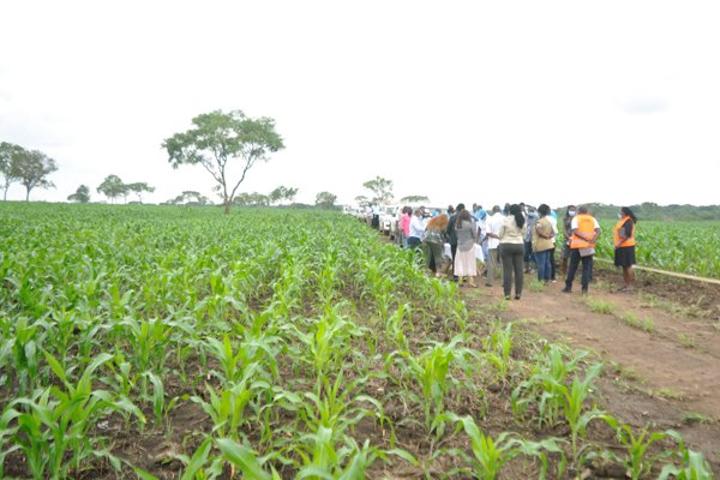 Adjumani refugees, host communities in land woes Adjumani refugees, host communities in land woes