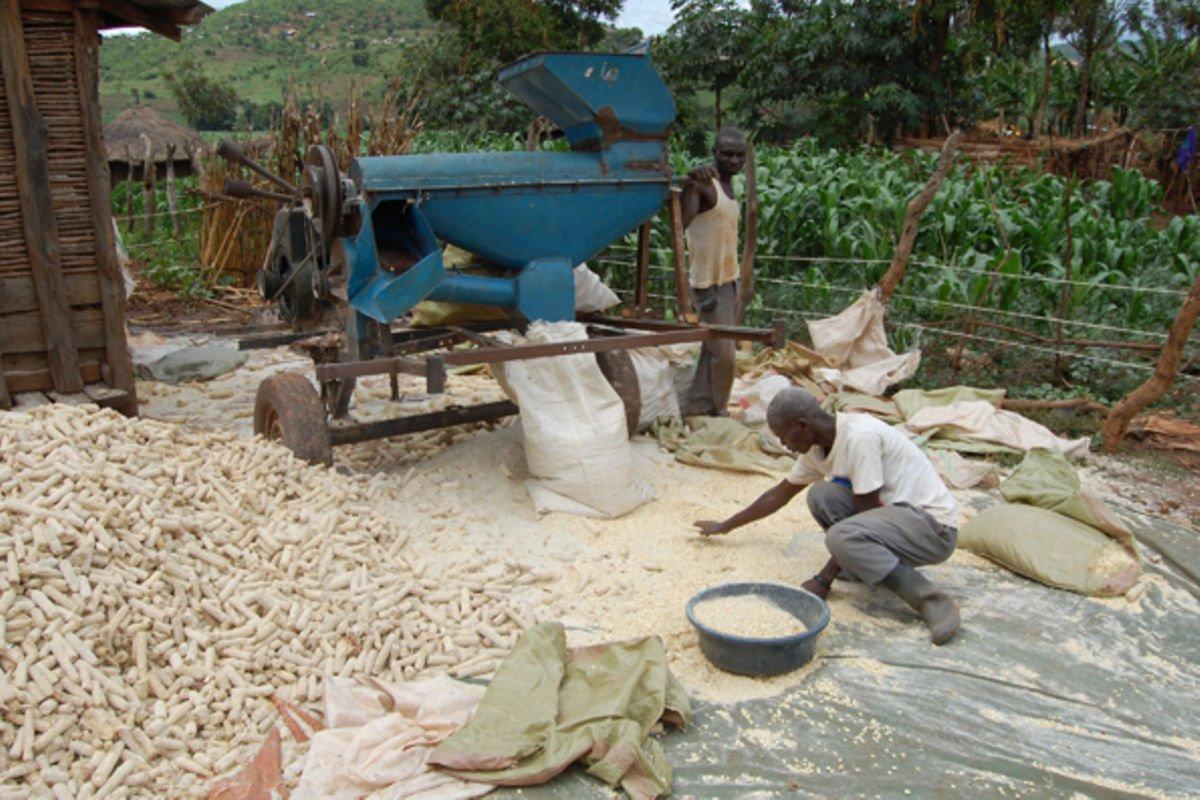 Maize millers pledge to follow standards Uganda