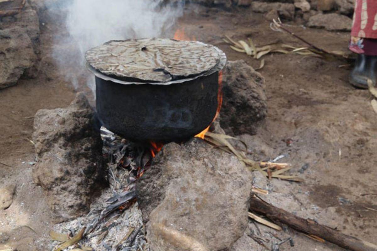 Govt seeks to push up usage of electricity for cooking Govt seeks to push up usage of electricity for cooking