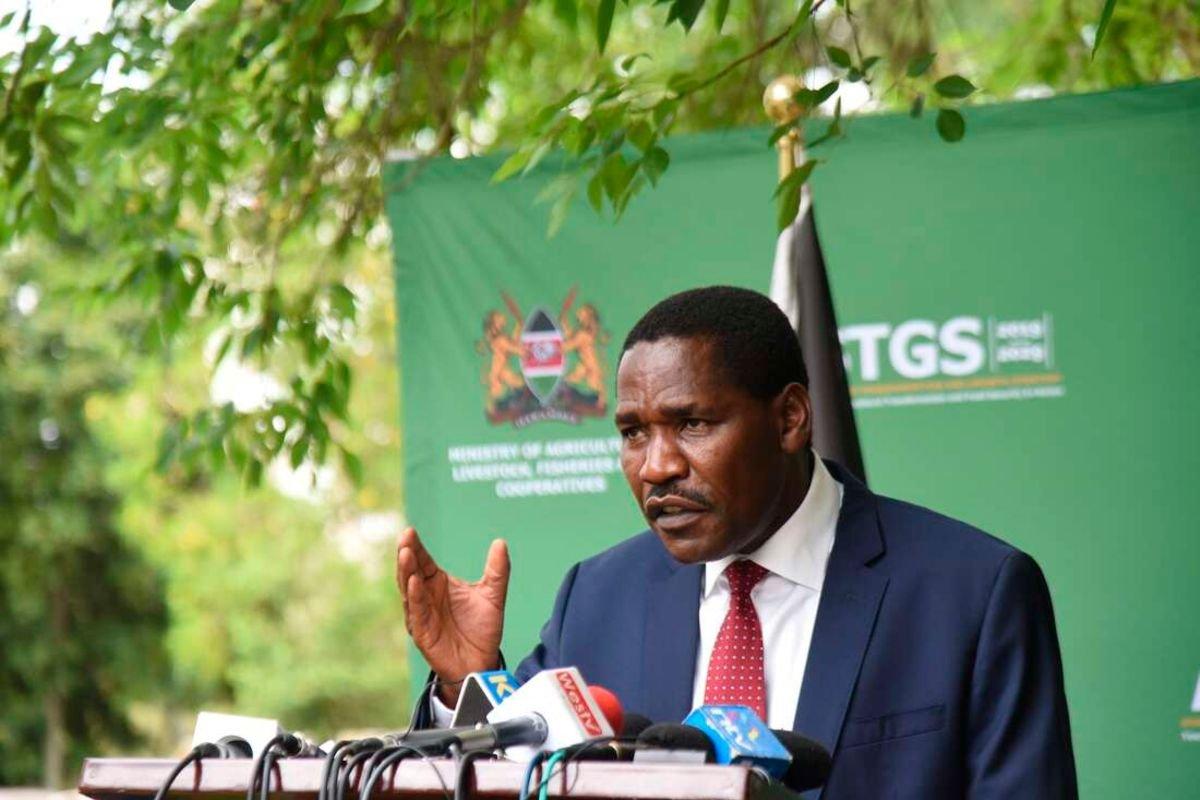 Kenya govt lifts ban on Ugandan poultry products Kenya govt lifts ban on Ugandan poultry products