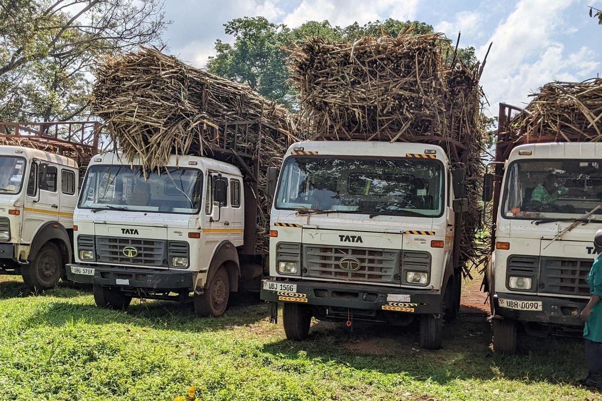 Police impound four trucks reportedly ferrying stolen sugarcanes Police impound four trucks reportedly ferrying stolen sugarcanes