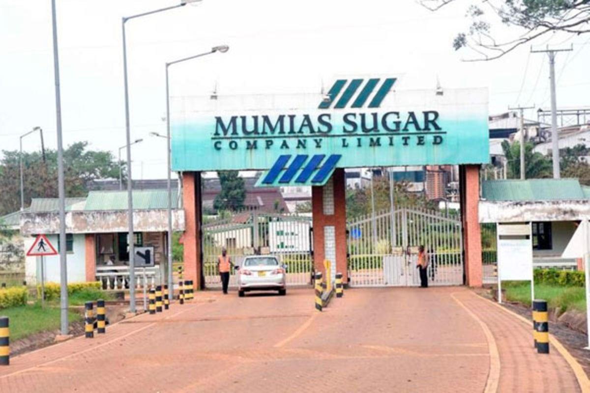 Sugar millers to continue competing for Kenya’s market despite Sarrai’s entry Sugar millers to continue competing for Kenya’s market despite Sarrai’s entry