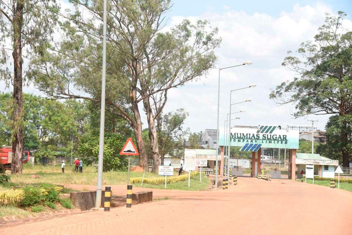 Will Ugandan sugar mogul finally breathe life into ailing Mumias? Will Ugandan sugar mogul finally breathe life into ailing Mumias?