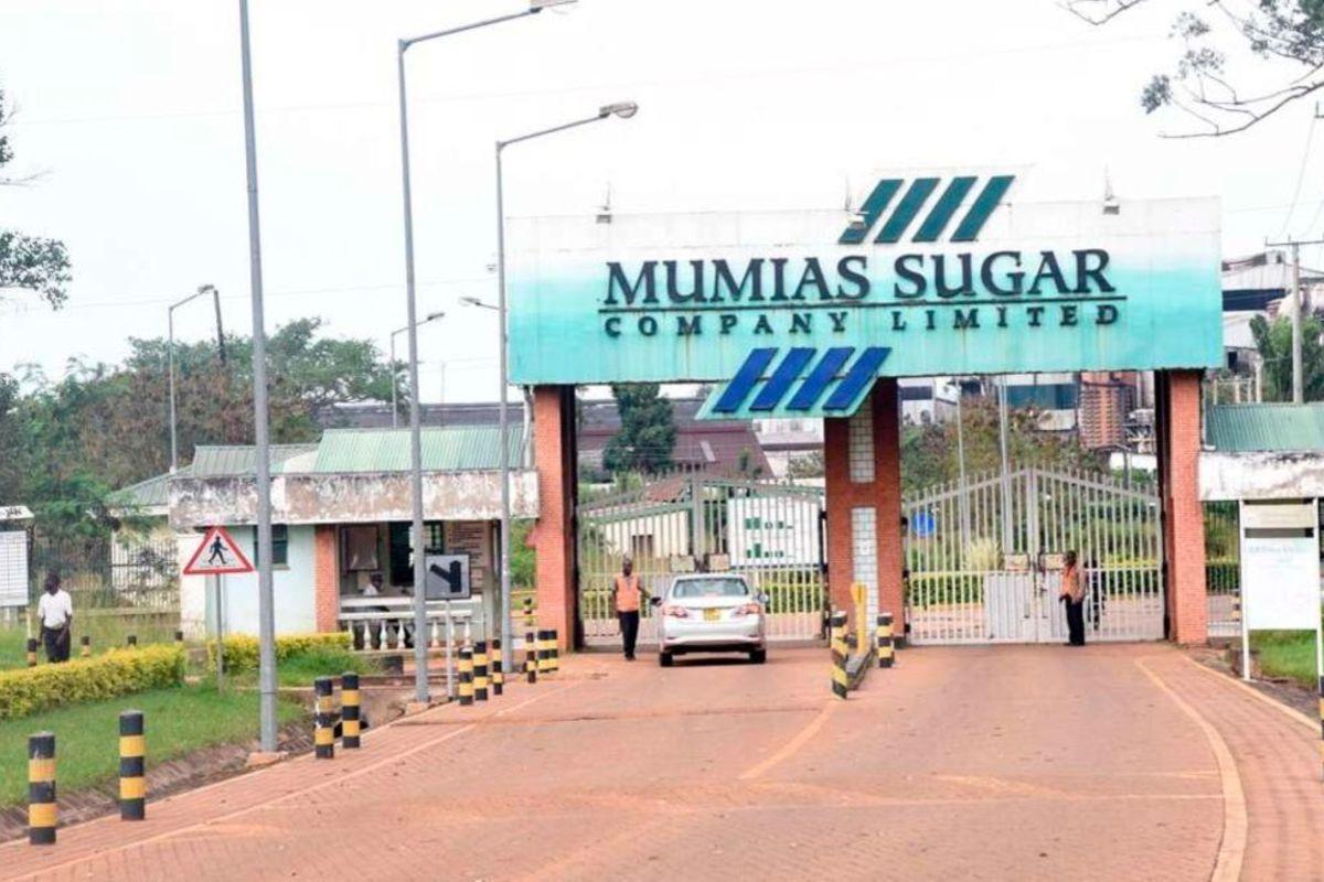 Top bidders protest Mumias leasing to Ugandan company Top bidders protest Mumias leasing to Ugandan company