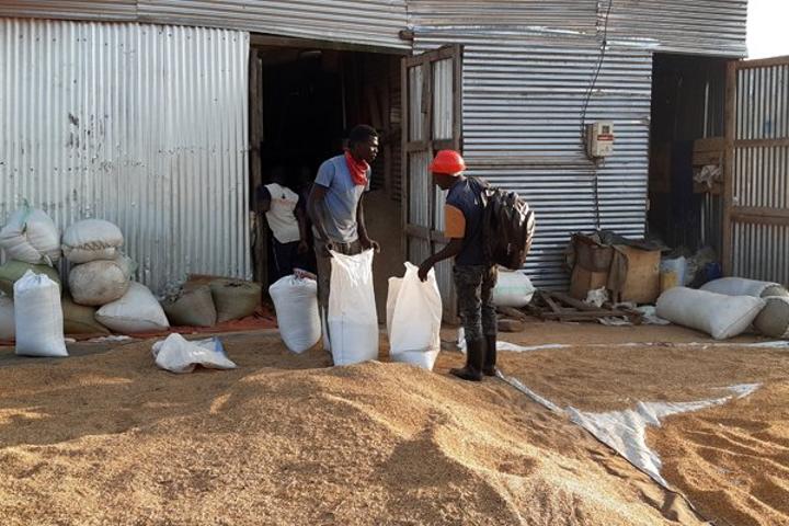Kalangala leaders suspend proposal to tax rice growers Kalangala leaders suspend proposal to tax rice growers