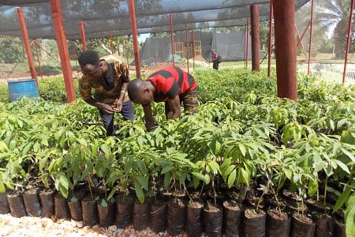 Farmers must do things differently in the new year Farmers must do things differently in the new year