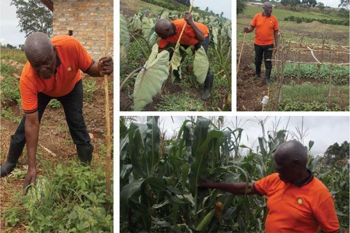 Gerald Ssendaula: A farmer of many faces Gerald Ssendaula: A farmer of many faces