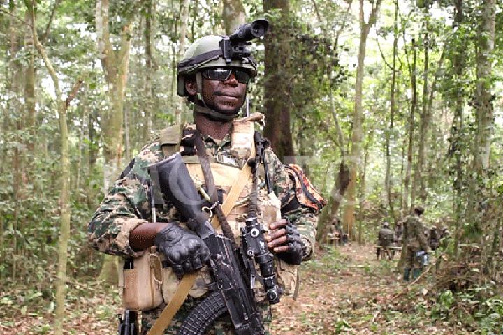 Under-fire ADF rebels relocate to Mt Rwenzori Under-fire ADF rebels relocate to Mt Rwenzori